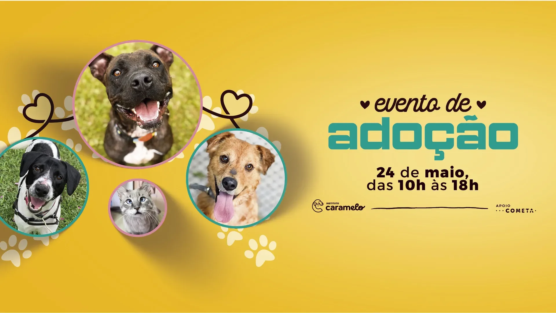 adoçao-pet-saocaetano